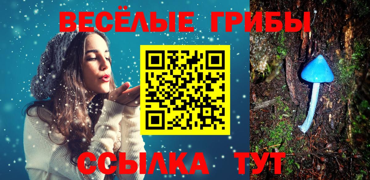 Галлюциногенные грибы прущие грибы Усть-Джегута
