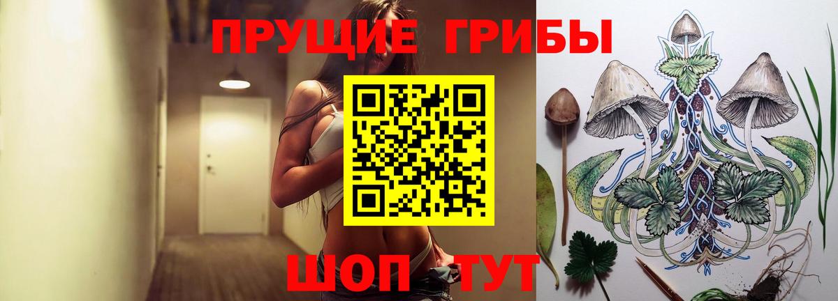 Галлюциногенные грибы MAGIC MUSHROOMS  где продают   Усть-Джегута  Вход с VPN  Псилоцибиновые грибы Cubensis 
